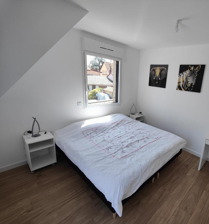 Appartement 48M², Strasbourg Centre A 15 Min En Train Fegersheim Bagian luar foto